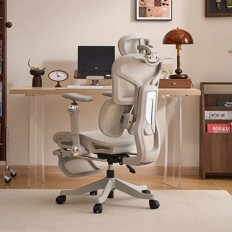 كرسي مريح جديد، كرسي كمبيوتر،  - مراجعة Ergonomic Office Chair وسعره
