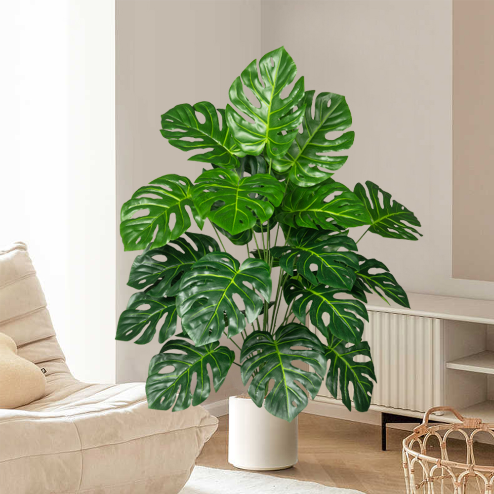 70-100 سنتيمتر شجرة Monstera ا - مراجعة Home Office Layout وسعره